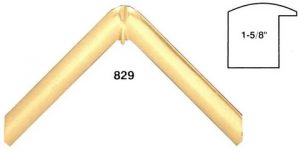 R829